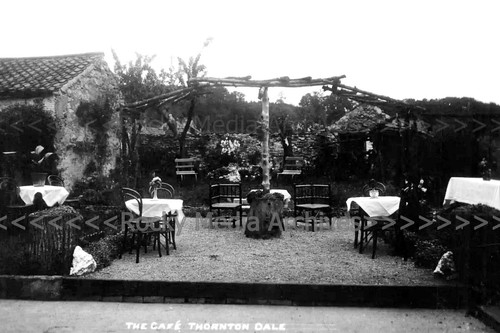 Bcy the cafe thornton - the,
